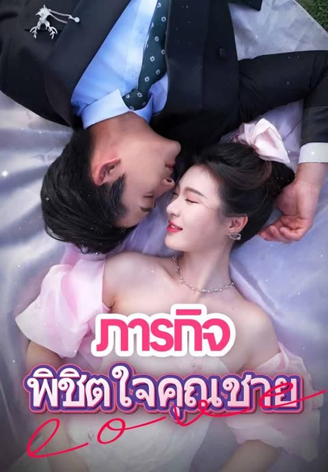 โปสเตอร์ (พากย์)ภารกิจพิชิตใจคุณชาย