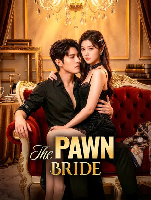 โปสเตอร์ สินสอด คือสิ่งสุดท้าย(พากย์เสียง)