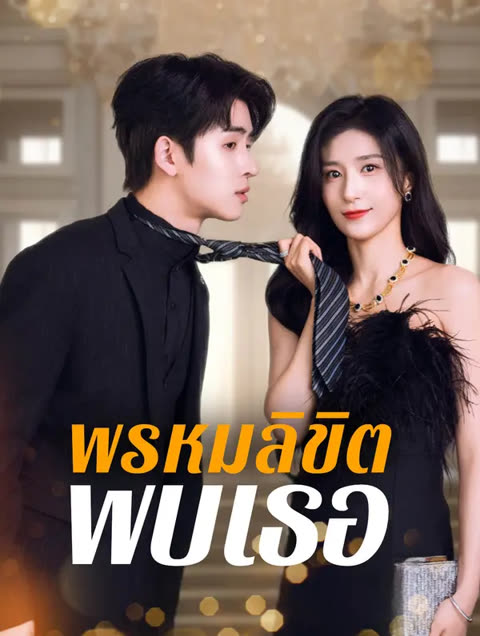 โปสเตอร์ พรหมลิขิตพบเธอ(พากย์เสียง)