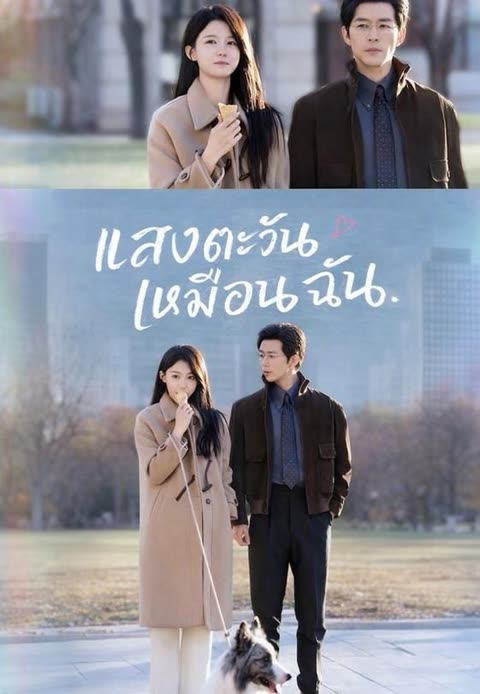 โปสเตอร์ (พากย์)แสงตะวันเหมือนฉัน
