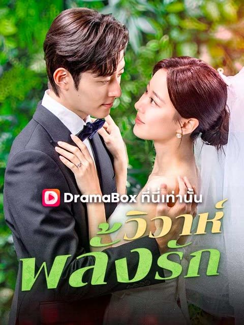 โปสเตอร์ วิวาห์พลั้งรัก(พากย์ไทย)