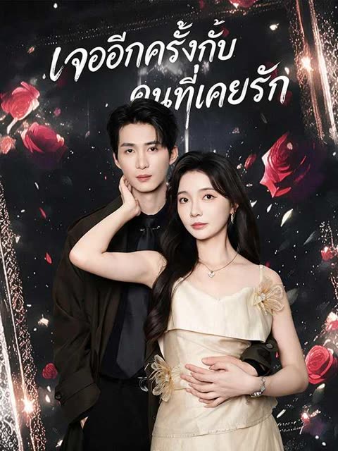โปสเตอร์ (พากย์ไทย)เจออีกครั้งกับคนที่เคยรัก