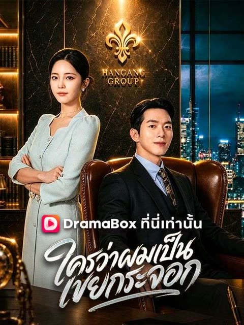 โปสเตอร์ ใครว่าผมเป็นเขยกระจอก(พากย์ไทย)