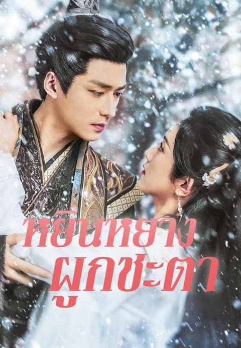 โปสเตอร์ (พากย์)หยินหยางผูกชะตา