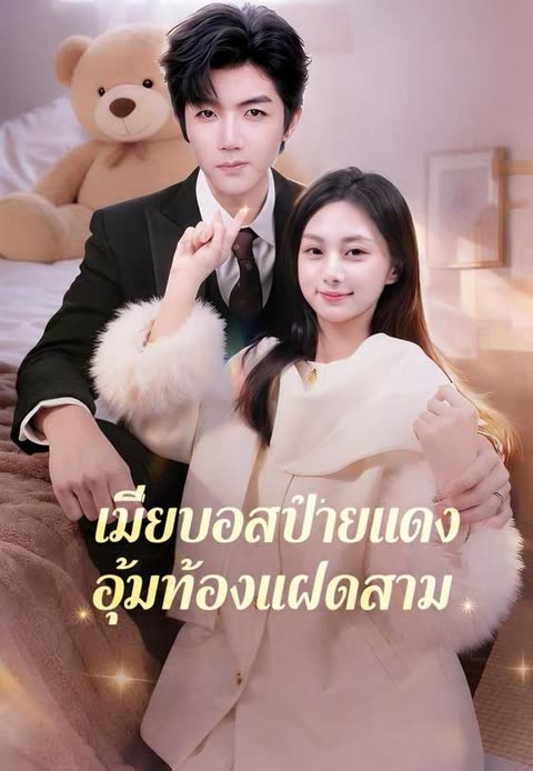 โปสเตอร์ (พากย์)รักลับเจ้านายลูกแฝดสาม