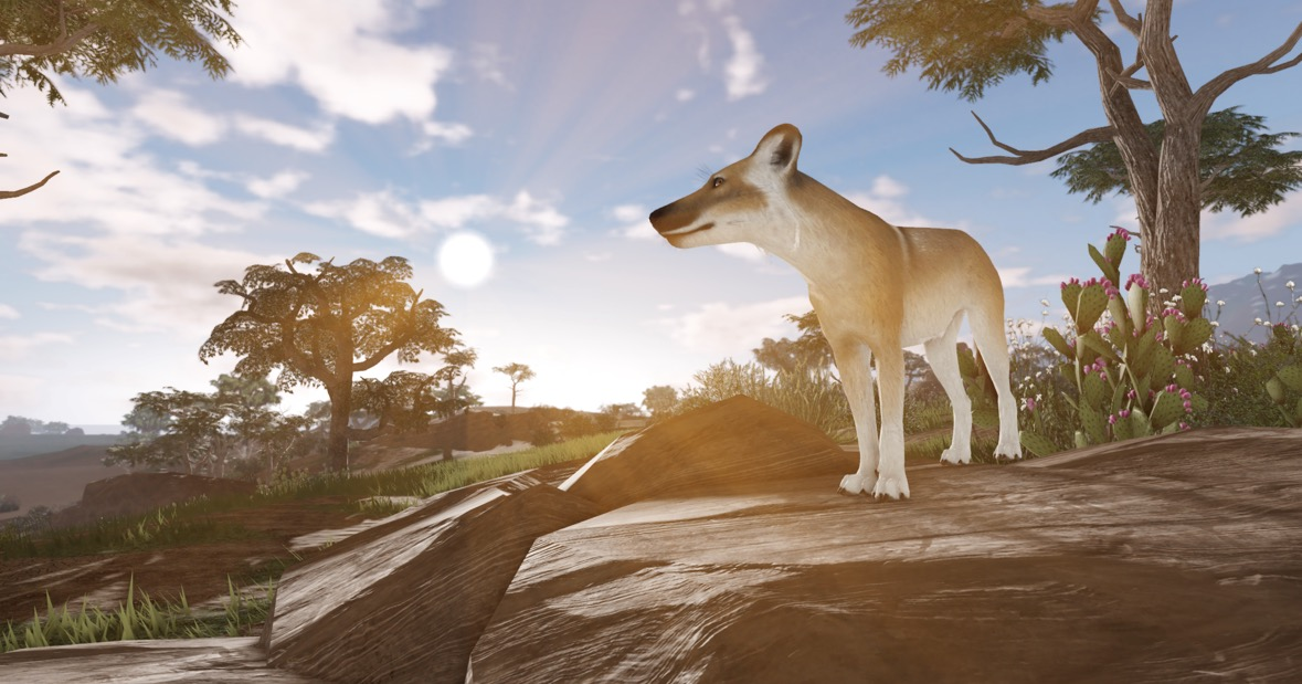 Meet Apollo: New Wolf Character in Whispering Wild