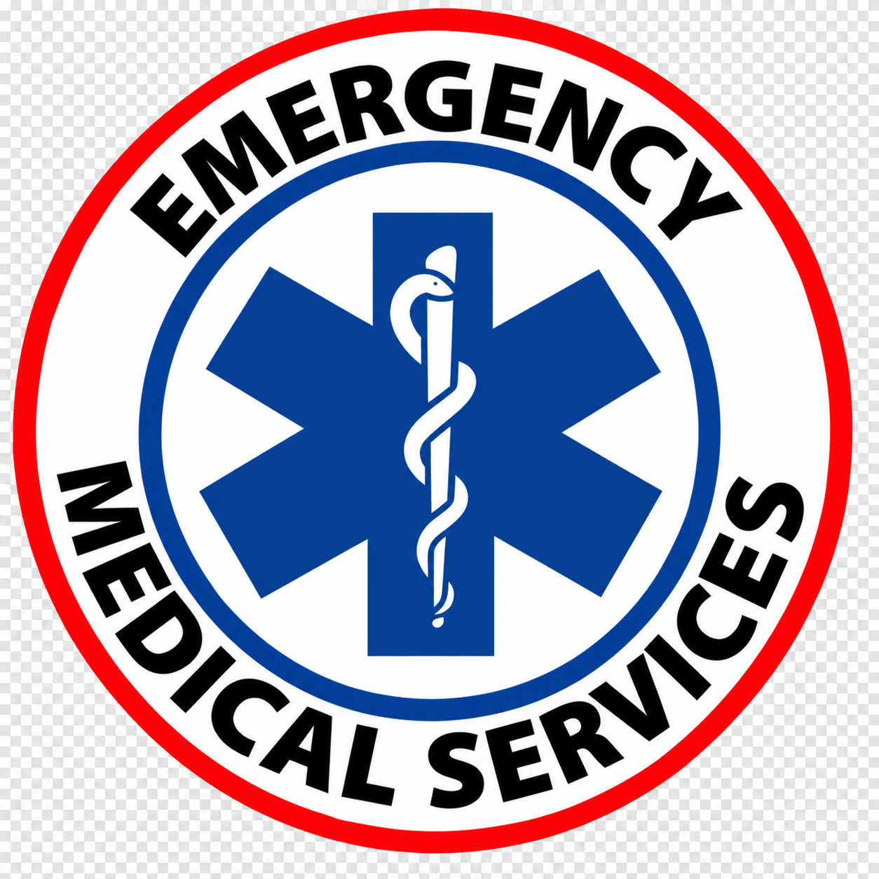 EMS Logo