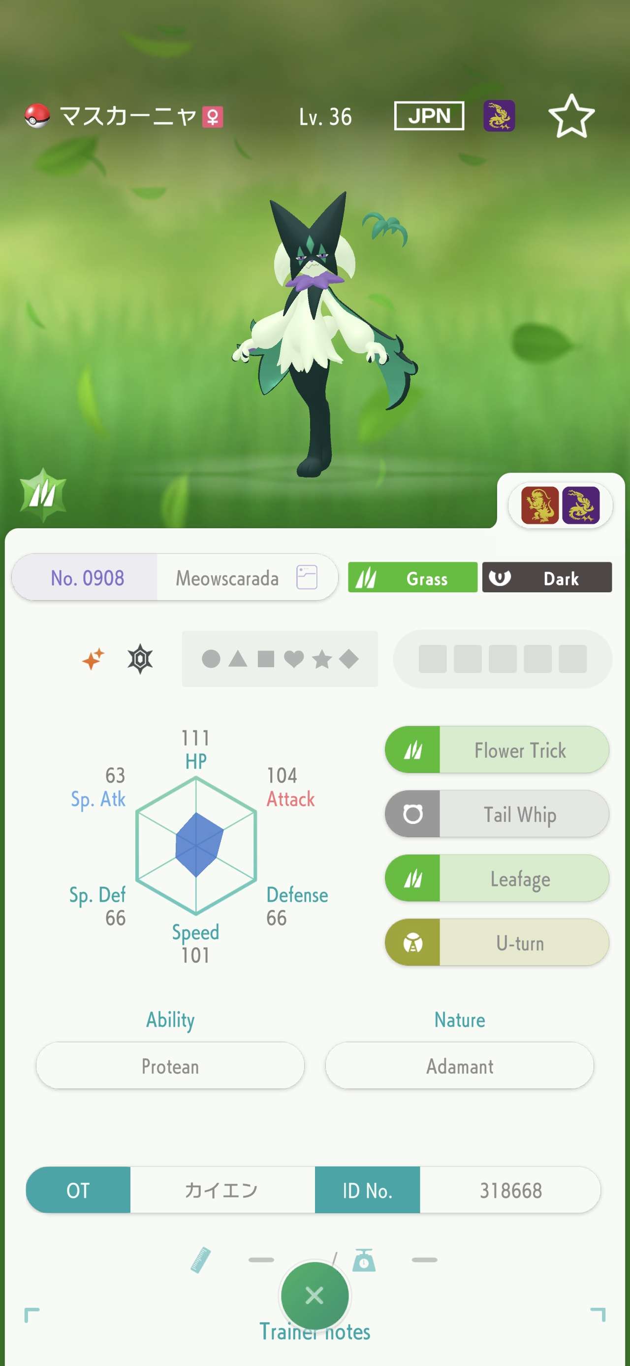 Shiny Pokémon Trading & PoGo Stamp List | Pokémon Champions