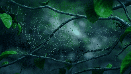 Green - Image 1