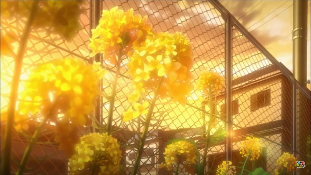 Yellow - Image 5