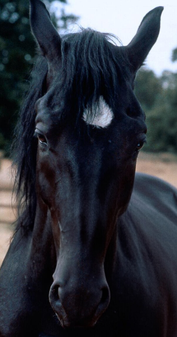 545a08bce4b0f17a8318c1f31.jpg?ex=6984bd52&is=69836bd2&hm=a90d63ac23915f88d810fb9f0fb64f10165e99b48fe57a81c13ff9f0fe543832&