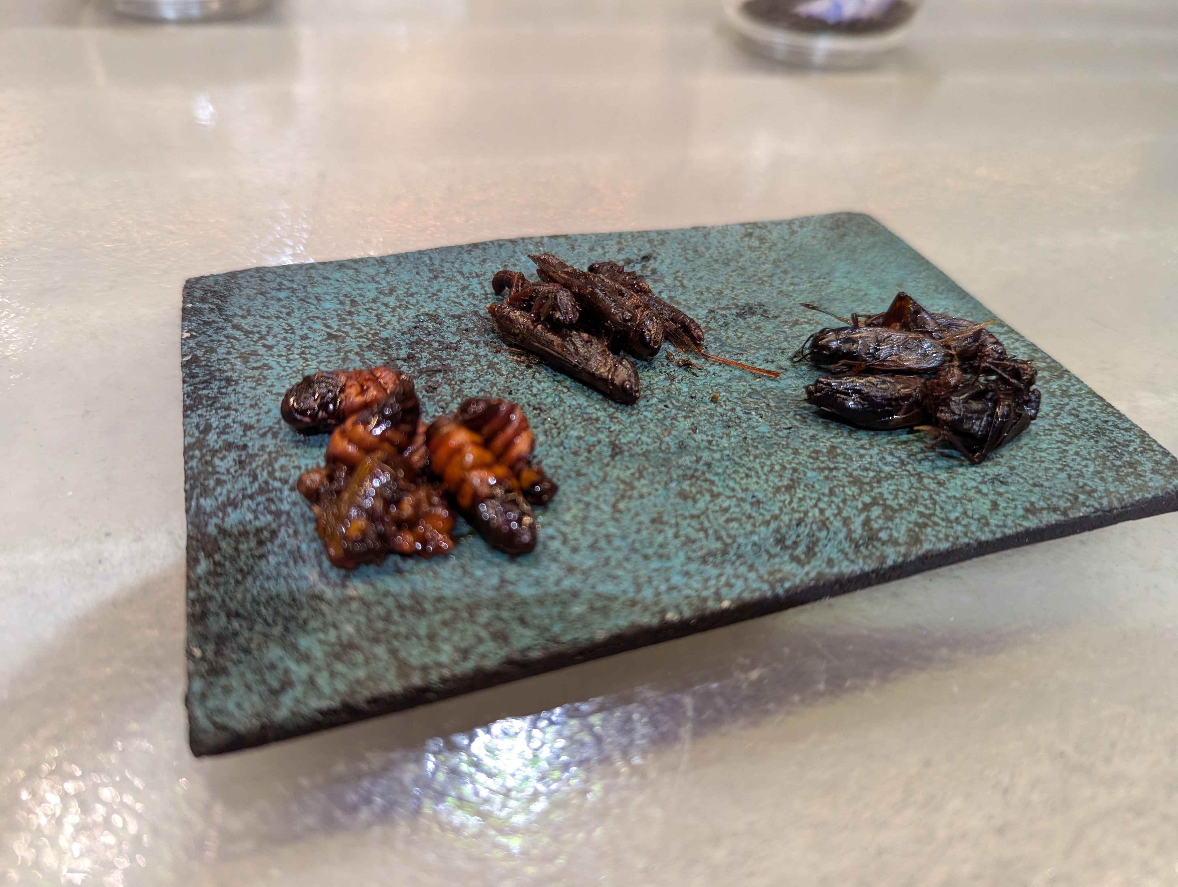 Silkworms, Crickets, Inago