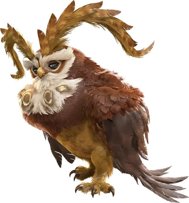 Discord Image