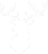 Authentication view background