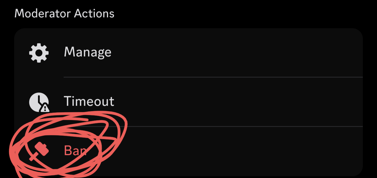 Discord Image