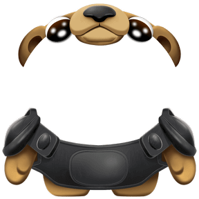 Discord Avatar Decoration