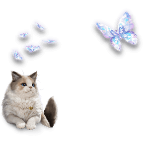 Avatar decoration