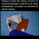 Аватар cat0788