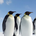 tksblackp9927's Avatar