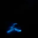 chicken_nugget1762 avatar