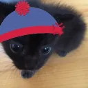 panconqueso_9690 avatar