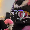 puppyonline