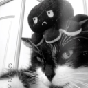 avatar ! イヤド®