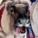 avatar 𝗌𝗎𝗎𝗌❣