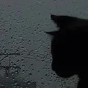 null__23523___