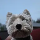 dougie2001_