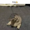 gamerprogmate2312