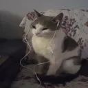 losthimesh