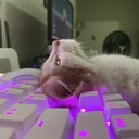 tiasky4666