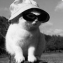 avatar emmy ★⋆｡ °⋆