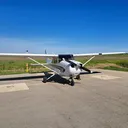 blunterbird