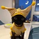 michucord. avatar