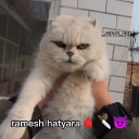 avatar Ruriii...🐬