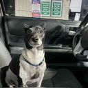 avatar kebabtankprototype ඞ