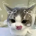 joseph_d3v