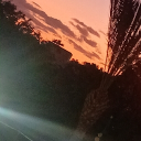 pumpkin_spice39's Avatar