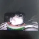 berkayintotosu