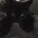 barniboy_