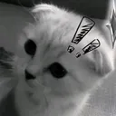 fp._v