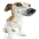 mucktro