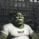 Аватар chlen12456