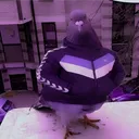 naberss_01
