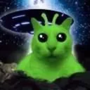 verdani1