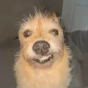 Аватар hiv_infected