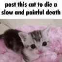 memestwez123987