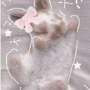 avatar Ghost_Bunny